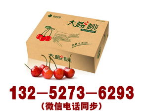 紙箱定做全攻略 從淘寶批發到定制包裝，一站式解決您的運輸與搬家需求